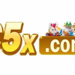 05x