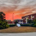 Archana Singh Holly Springs