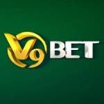 v9bet accountant