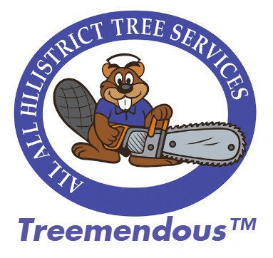 Arborist Services in Baulkham Hills | Professional Tree Care