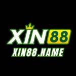 XIN88 LLC