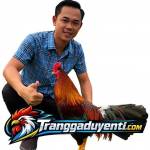 Trại gà Duyên Ti