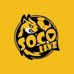 Socolivetva com
