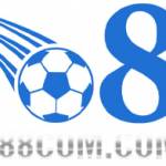 o88com com