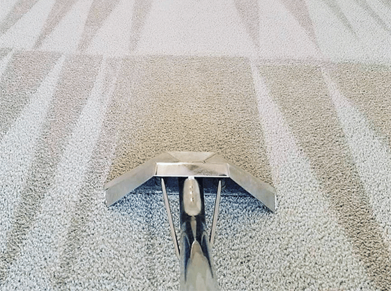 Carpet Cleaning London | 22 000+ Positive Reviews