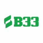 B33 NET